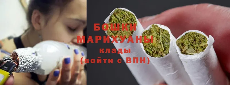 Бошки Шишки White Widow  сколько стоит  мега зеркало  Кашин 